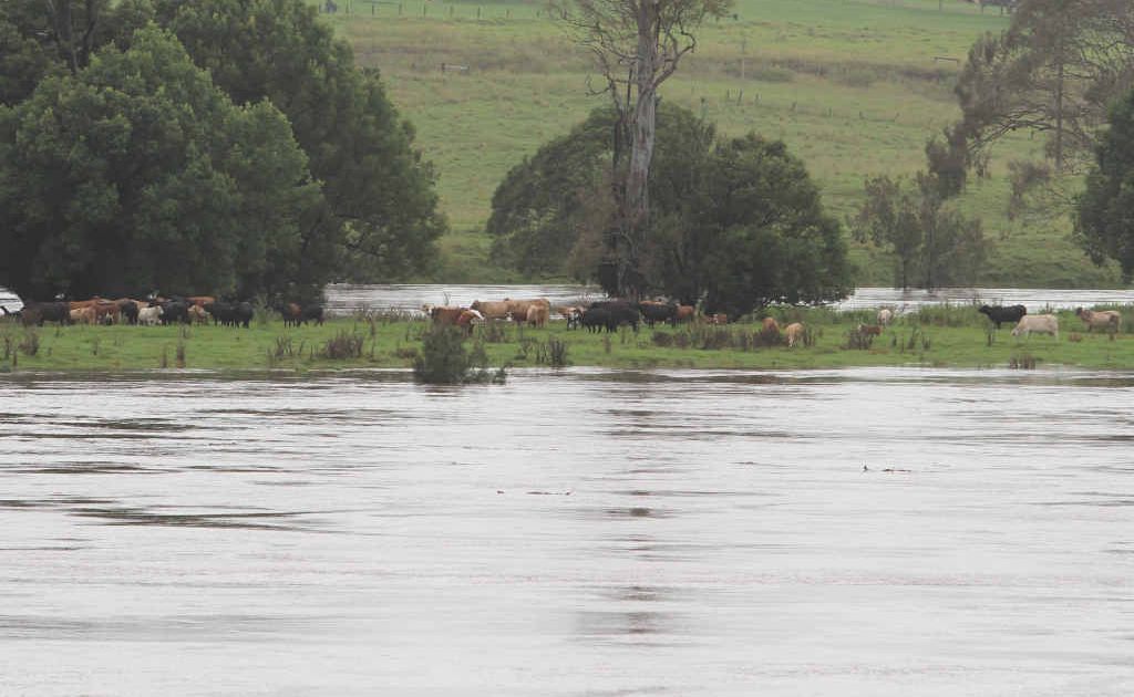 A succession of floods is making life a misery for farmers. A succession of floods is making life a misery for farmers.