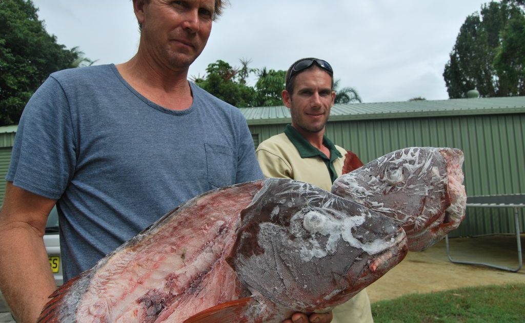 Chinderah fisherman John Brinsmead with researcher Toby Piddocke. Chinderah fisherman John Brinsmead with researcher Toby Piddocke.