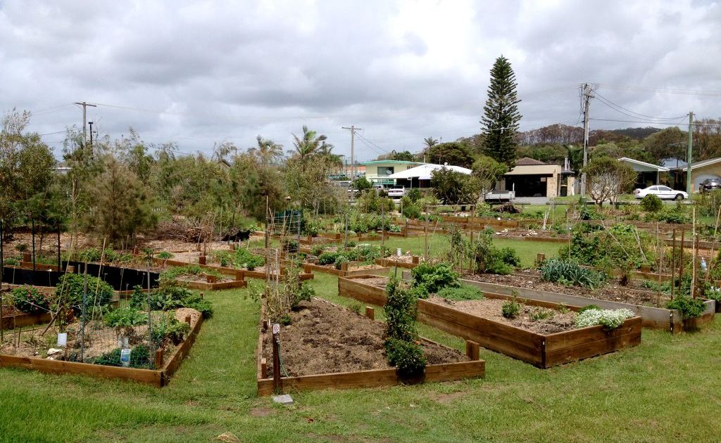 Southern beaches community garden in Tugun. Southern beaches community garden in Tugun.