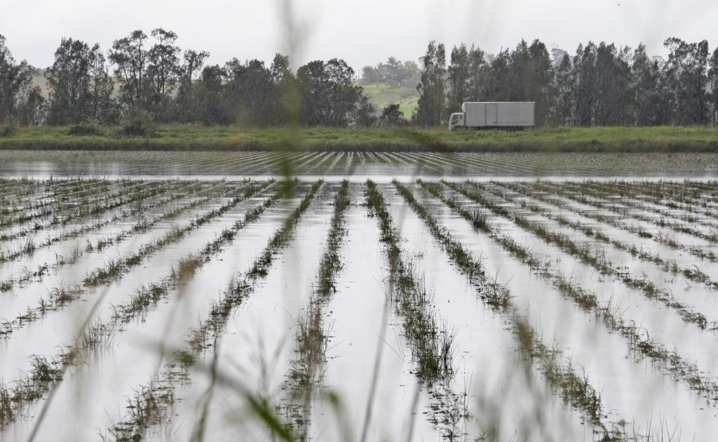 Farm paddock's on Tweed Valley Way under flood, near Tumbulgum. Farm paddock's on Tweed Valley Way under flood, near Tumbulgum.
