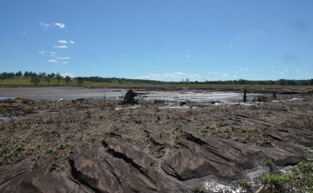 BARREN LANDS: A recently planted crop between Nanango and Kingaroy is one of many in the region that was totally devastated by flood waters on Australia Day. BARREN LANDS: A recently planted crop between Nanango and Kingaroy is one of many in the region that was totally devastated by flood waters on Australia Day.