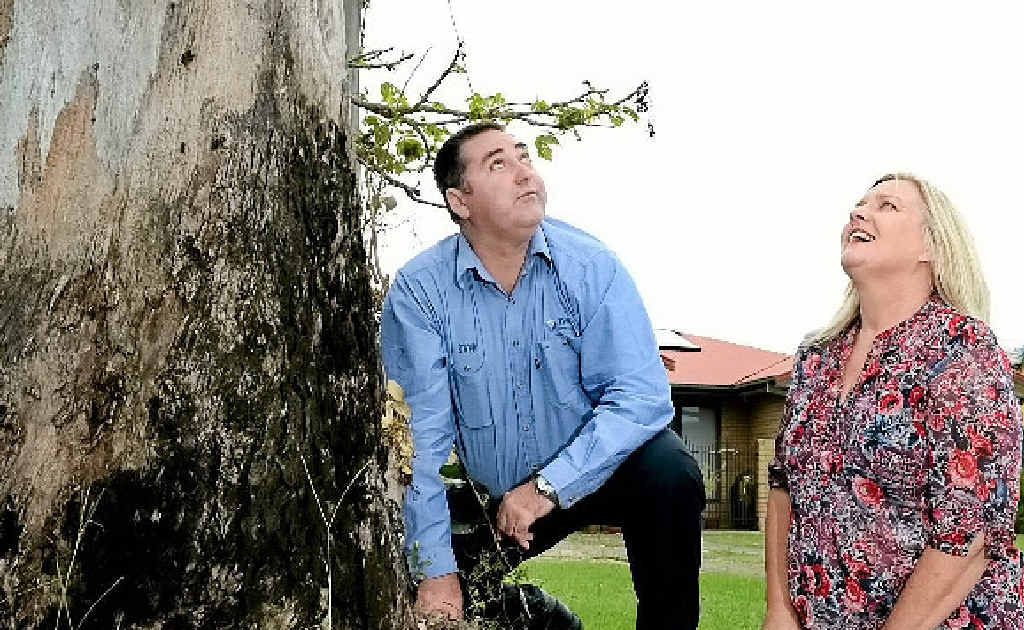 DISMAYED: Parks operations co-ordinator Matt McCann and Cr Carolyn Byrne with the vandalised tree in Kingscliff. Left: The sign the council plans to put up. DISMAYED: Parks operations co-ordinator Matt McCann and Cr Carolyn Byrne with the vandalised tree in Kingscliff. Left: The sign the council plans to put up.