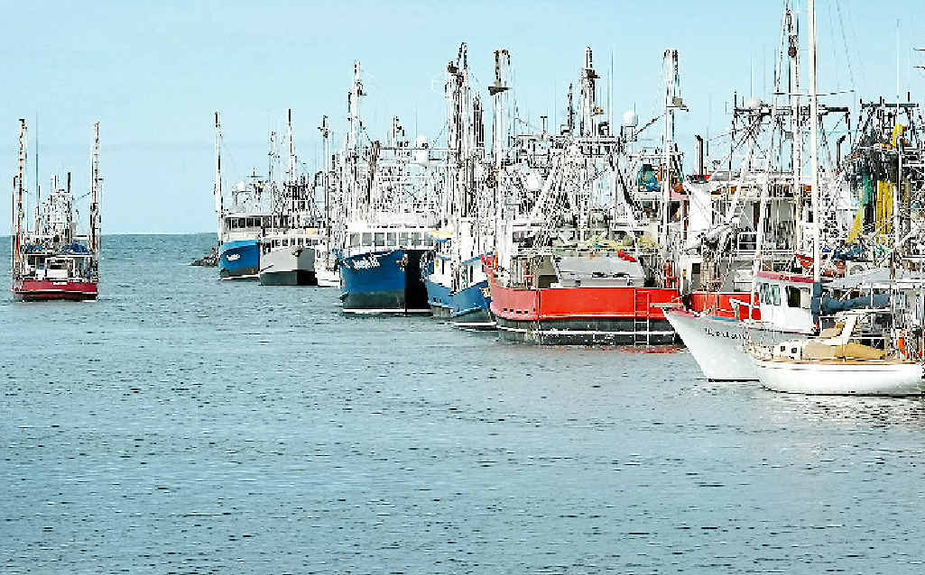 TIME OUT: Hervey Bay’s fishing trawler fleet have also been affected by the floods. TIME OUT: Hervey Bay’s fishing trawler fleet have also been affected by the floods.