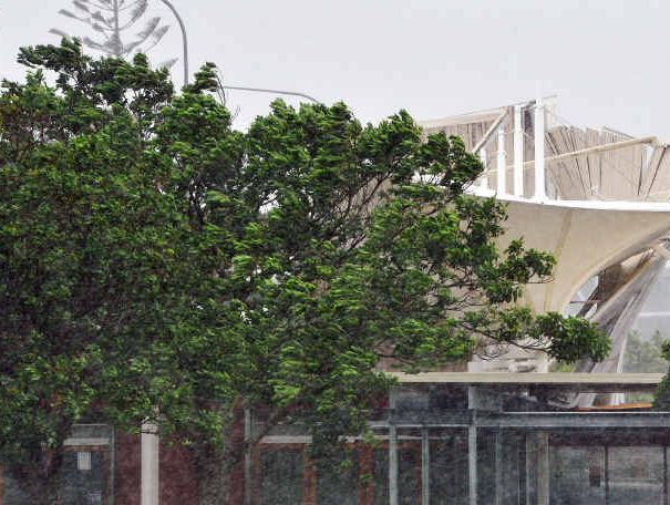 RIGHT: Roof of the Restaurant The Pelican in Ballina has been blown off by the wind. Photo Mireille Merlet-Shaw / The Northern Star RIGHT: Roof of the Restaurant The Pelican in Ballina has been blown off by the wind. Photo Mireille Merlet-Shaw / The Northern Star