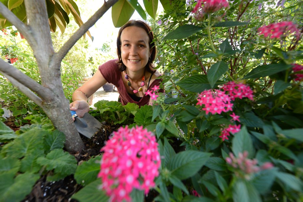Gardening with QT columnist Chelsea Van Rijn. Gardening with QT columnist Chelsea Van Rijn.