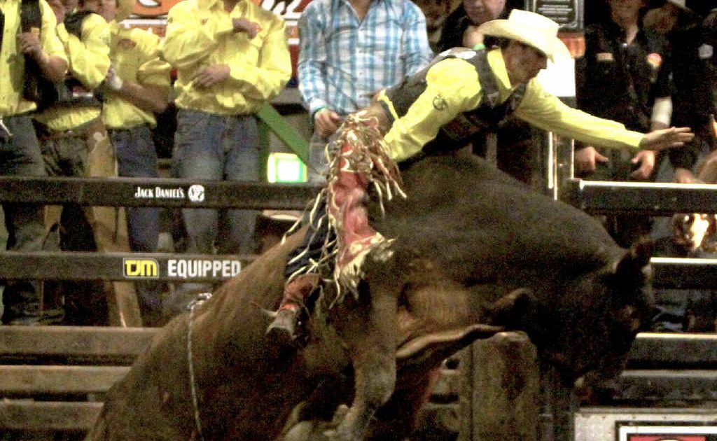 RIDER CHALLENGED: Ben Seeds hangs onto Walking Tall during the open bull ride, in the inaugural Great Western Cup. RIDER CHALLENGED: Ben Seeds hangs onto Walking Tall during the open bull ride, in the inaugural Great Western Cup.