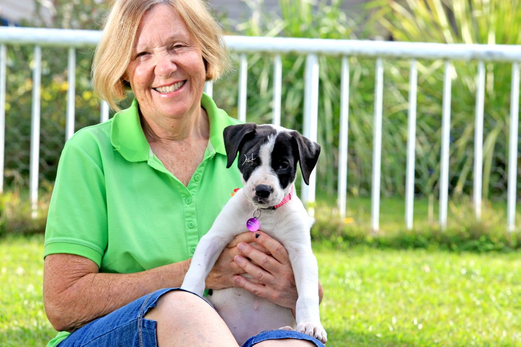 Friends of The Pound vice president and animal carer Pam Price at home with Sage the baby Great Dane Cross. Friends of The Pound vice president and animal carer Pam Price at home with Sage the baby Great Dane Cross.