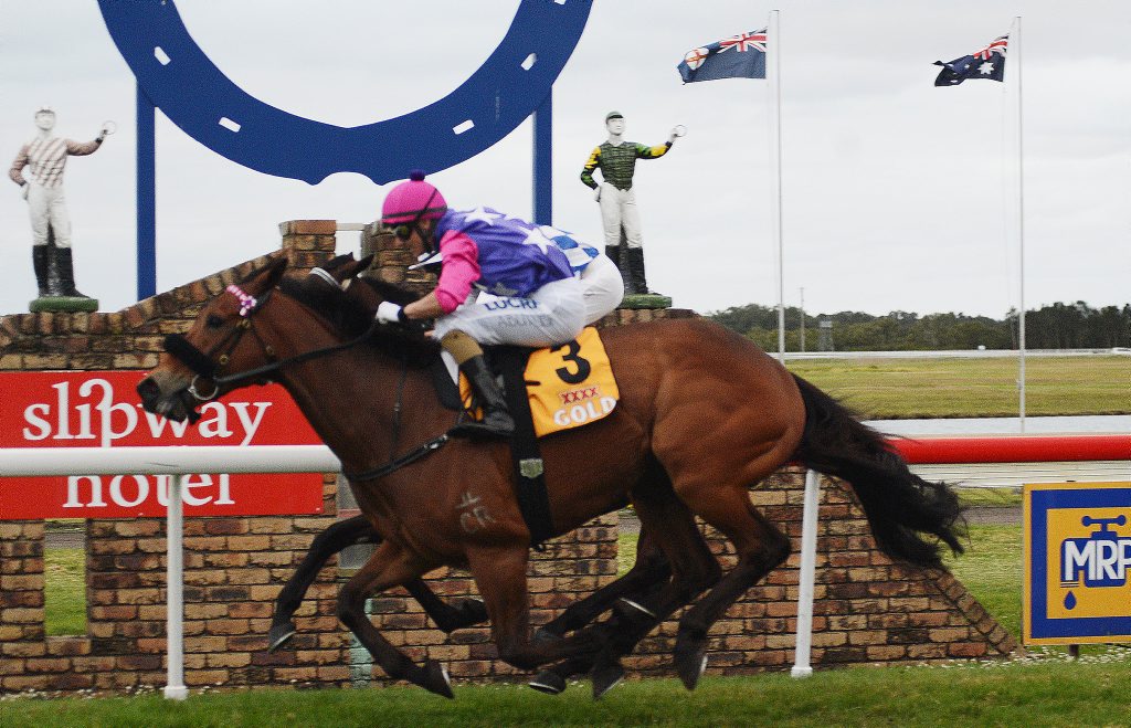 Winner of The 2013 Ballina Cup, PLAYITSTRAIGHT, ridden by Ashley Butler and trained by Barry Lockwood (eagle farm). Winner of The 2013 Ballina Cup, PLAYITSTRAIGHT, ridden by Ashley Butler and trained by Barry Lockwood (eagle farm).