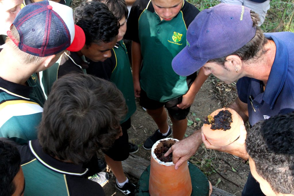 SWEET TALK: Kepnock Bush Tucker students listening to CQ University environmental science student Leslie Lowe talking about their recently received working native bee hive as a part of the Gabai Native Bee Project. Photo: Zach Hogg / NewsMail SWEET TALK: Kepnock Bush Tucker students listening to CQ University environmental science student Leslie Lowe talking about their recently received working native bee hive as a part of the Gabai Native Bee Project. Photo: Zach Hogg / NewsMail