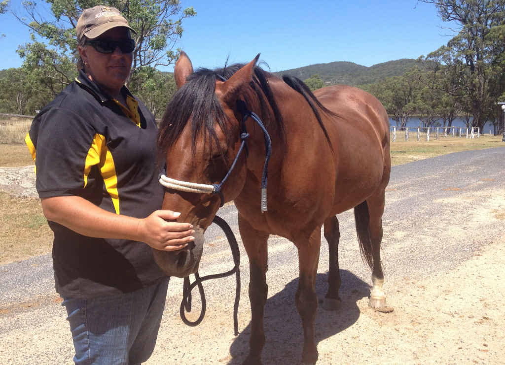 COMPLAINT MADE: Horses appear to be in good condition in the Cherrabah stables, rather than mistreated. COMPLAINT MADE: Horses appear to be in good condition in the Cherrabah stables, rather than mistreated.