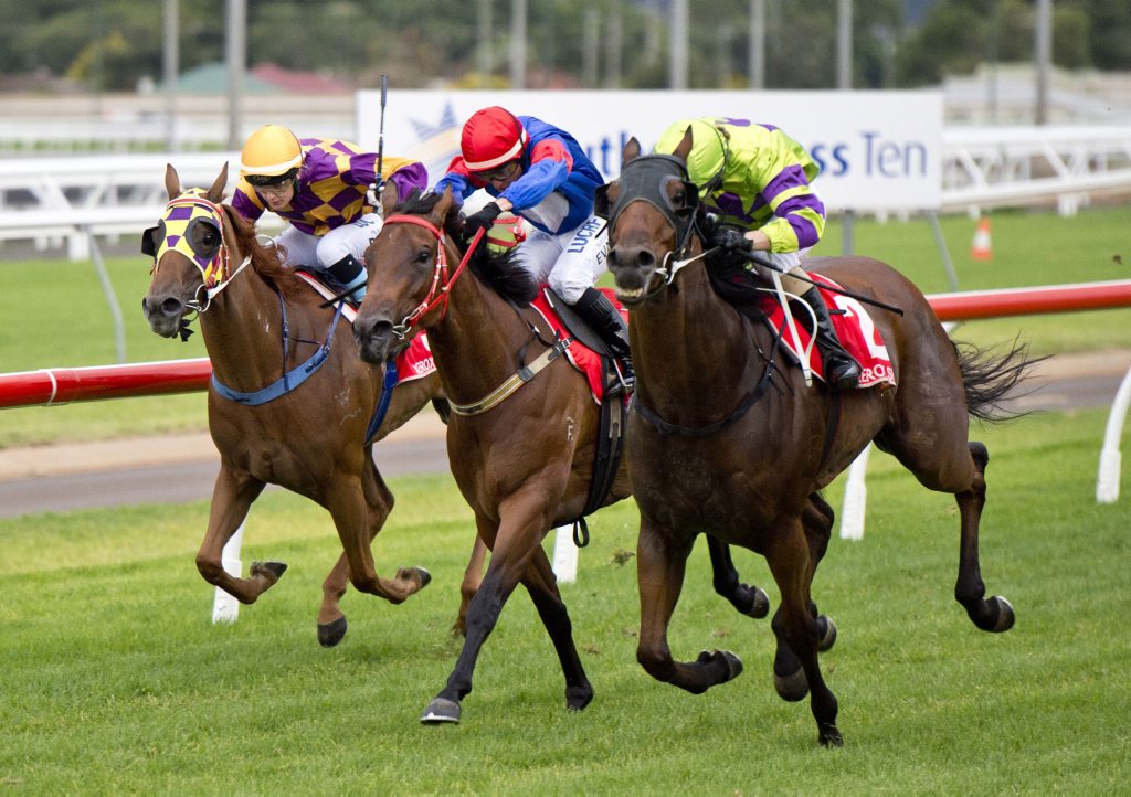 Toowoomba gelding Kempelly (outside) will be nominated for next month's Weetwood Handicap along with stablemates Typhoon Red and Tough Taimz. Toowoomba gelding Kempelly (outside) will be nominated for next month's Weetwood Handicap along with stablemates Typhoon Red and Tough Taimz.