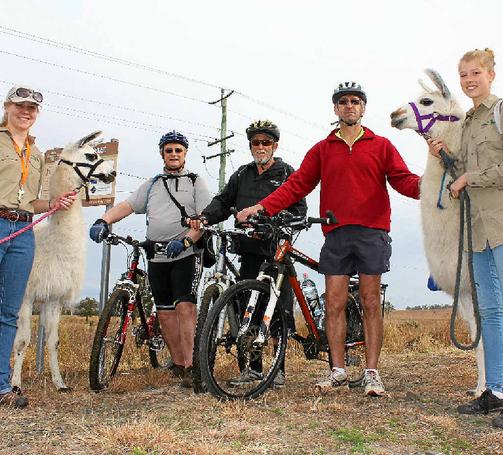PASSIONATE: Leisa Cornford (Ottaba llamas), Paul Heymans, Graham Hayton, Ken Wilson and Rebekah Mircic (Ottaba llamas) hit the Brisbane Valley Rail Trail on the weekend. PASSIONATE: Leisa Cornford (Ottaba llamas), Paul Heymans, Graham Hayton, Ken Wilson and Rebekah Mircic (Ottaba llamas) hit the Brisbane Valley Rail Trail on the weekend.