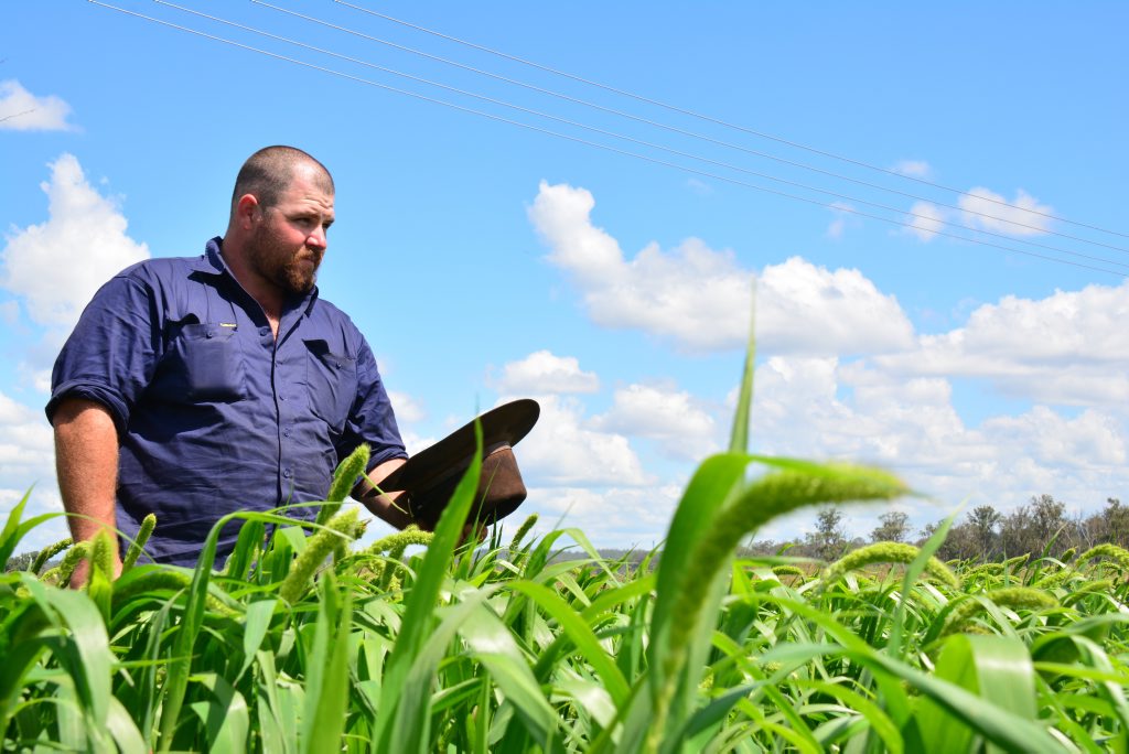 EXTREME HEAT: Nanango farmer Jason Black's crops are set to prosper with this week's heat wave. EXTREME HEAT: Nanango farmer Jason Black's crops are set to prosper with this week's heat wave.