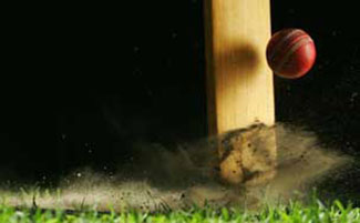 The photos that will bring a smile to any cricket fan