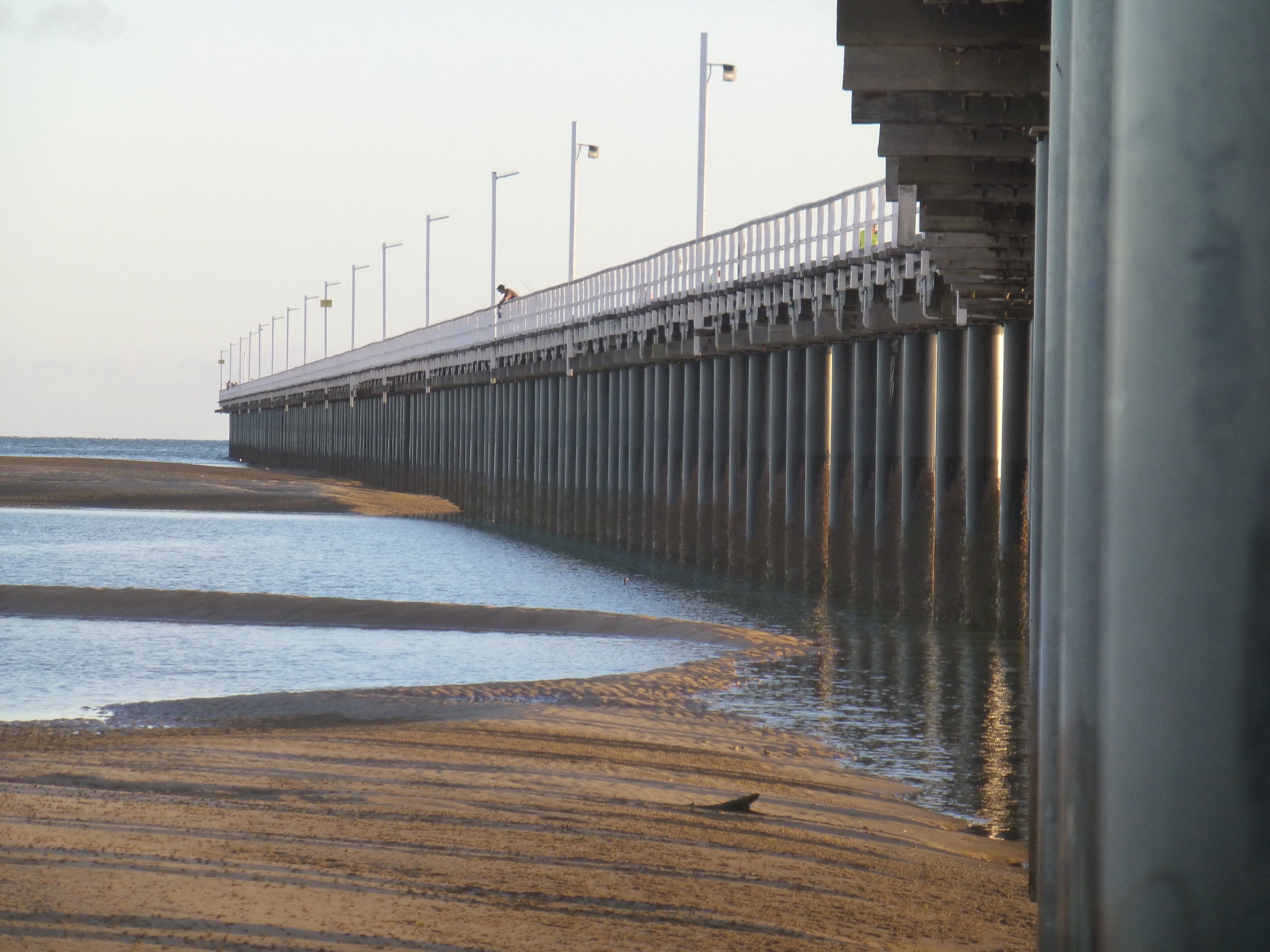 Urangan pier - User Contributed Urangan pier - User Contributed