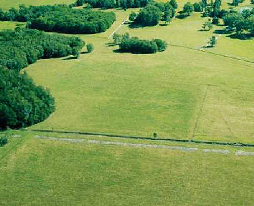 No way: An environmental group is hoping a published report will stop rock festivals from returning to the Parklands site (above) in Yelgun. No way: An environmental group is hoping a published report will stop rock festivals from returning to the Parklands site (above) in Yelgun.