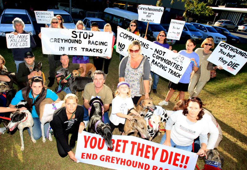Protesters gather outside Tweed Shire Council. Protesters gather outside Tweed Shire Council.