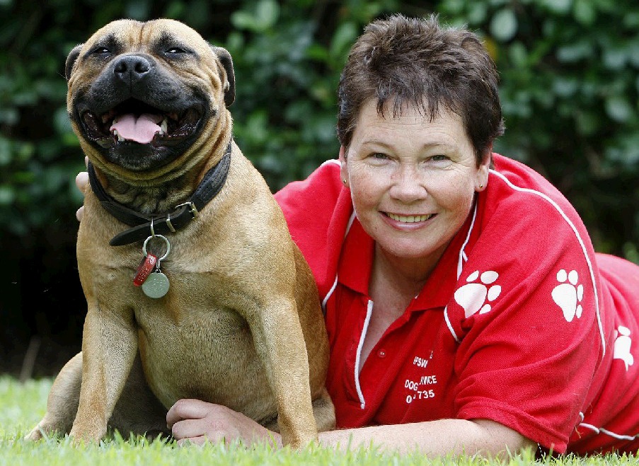Ipswich Pet Minding Service founder Deb Taylor with Jasper, the staffy. Ipswich Pet Minding Service founder Deb Taylor with Jasper, the staffy.