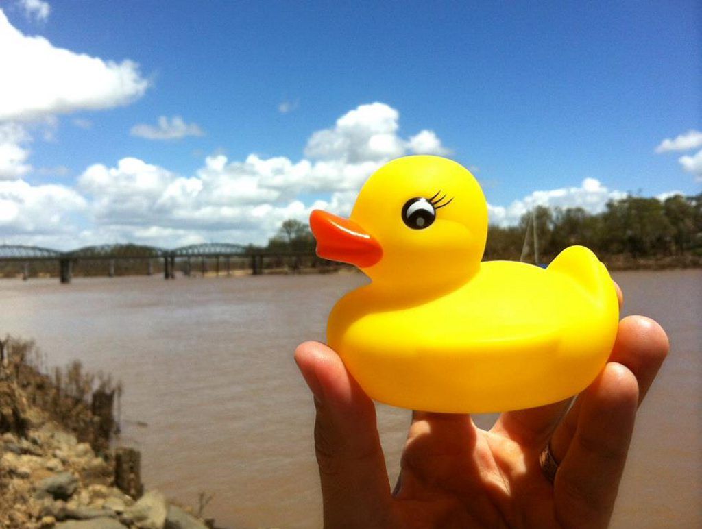 A campaign to bring the giant, five-storey high and wide floating rubber duck from the Sydney Festival to the Burnett River began last week and it’s garnering plenty of support. A campaign to bring the giant, five-storey high and wide floating rubber duck from the Sydney Festival to the Burnett River began last week and it’s garnering plenty of support.