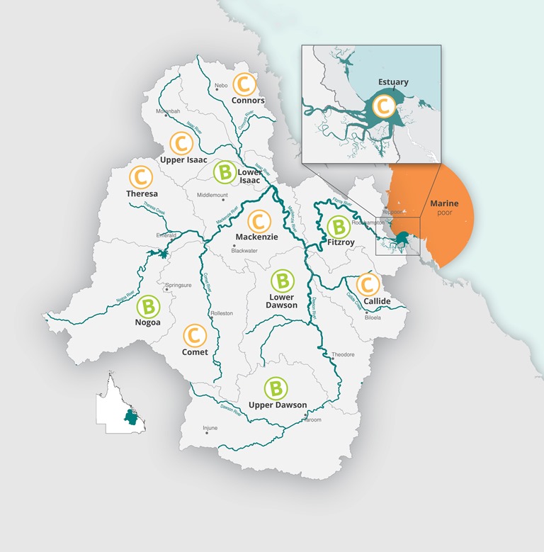 Fitzroy Basin's waterways have been given a C grade in the 2011-12 report card released yesterday. Fitzroy Basin's waterways have been given a C grade in the 2011-12 report card released yesterday.