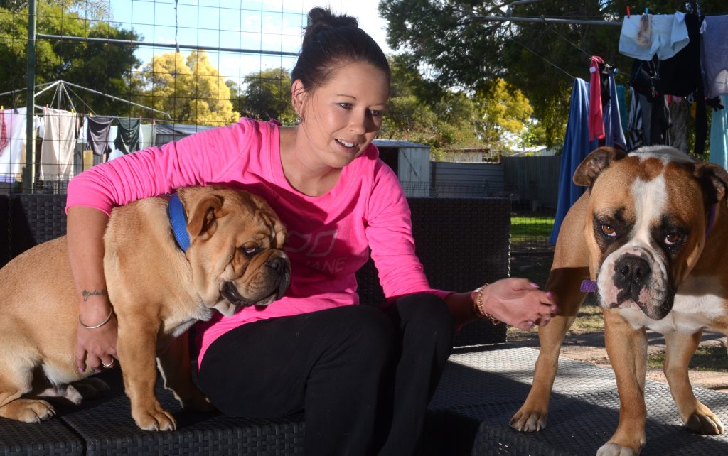 Kel Roberts with her two bulldogs. A friend she connected with through their love of bulldogs started the campaign to help pay her medical bills. Photo Will Hunter / Dalby Herald Kel Roberts with her two bulldogs. A friend she connected with through their love of bulldogs started the campaign to help pay her medical bills. Photo Will Hunter / Dalby Herald