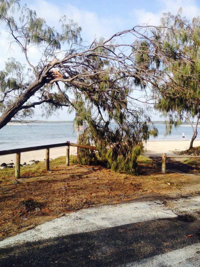 Brodie Howland took this photo of storm damage at Elliott Heads. Photo Contributed Brodie Howland took this photo of storm damage at Elliott Heads. Photo Contributed