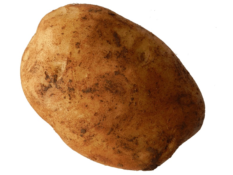 Spuds are digested into the bloodstream quickly. Spuds are digested into the bloodstream quickly.