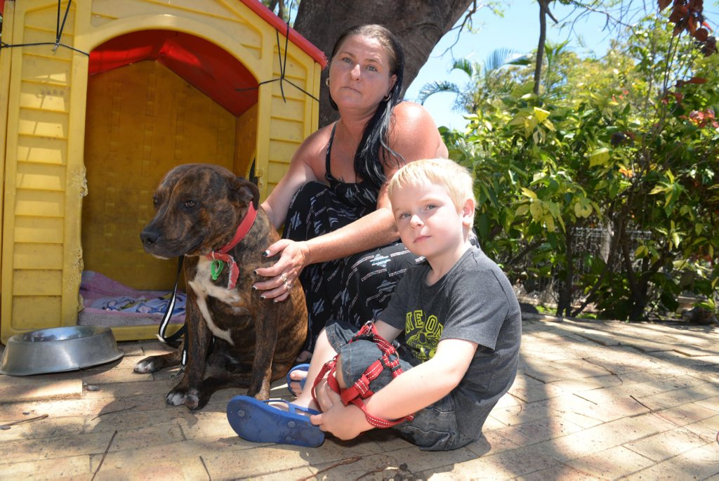 MISSING DOGS: Dee and Rayden Venner appeal to the community to be on the lookout for two of their English Staffordshire's who went missing, feared stolen. Photo: Max Fleet / NewsMail MISSING DOGS: Dee and Rayden Venner appeal to the community to be on the lookout for two of their English Staffordshire's who went missing, feared stolen. Photo: Max Fleet / NewsMail