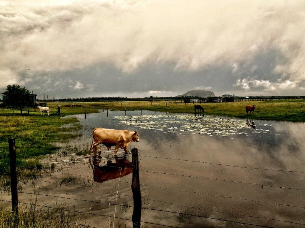 Ashley Page: Looking back towards Mount Coolum after a storm