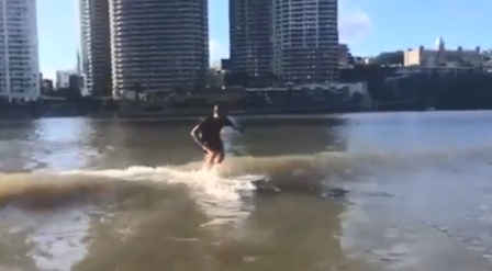 Surfer struts his stuff on the Brisbane River - Caboolture News