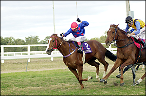 ONE DOWN ... Casino Cup winner Sundae Jester ONE DOWN ... Casino Cup winner Sundae Jester