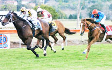 HIGHACCLAIM: High Octave (Andrew Parramore) wins the Lismore Workers Rousillon Handicap HIGHACCLAIM: High Octave (Andrew Parramore) wins the Lismore Workers Rousillon Handicap
