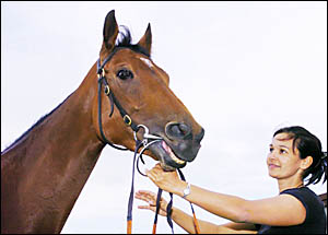 ALL IN THE FAMILY: Antoinette Pholi, daughter of trainer Bill Pholi, with Lismore Cup starter That?s My Mum. ALL IN THE FAMILY: Antoinette Pholi, daughter of trainer Bill Pholi, with Lismore Cup starter That?s My Mum.