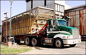 CANE AND SUFFERING: The once familiar sight of a Mills Transport truck carting cane CANE AND SUFFERING: The once familiar sight of a Mills Transport truck carting cane