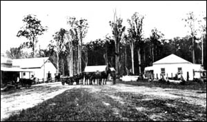 One of the oldest pictures of Nimbin, taken in 1909. Nimbin School of Arts is on the left with the old bakery on the right One of the oldest pictures of Nimbin, taken in 1909. Nimbin School of Arts is on the left with the old bakery on the right