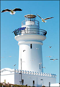 South Solitary Island lighthouse keepers cottages have stood abandoned for the past 30 years South Solitary Island lighthouse keepers cottages have stood abandoned for the past 30 years