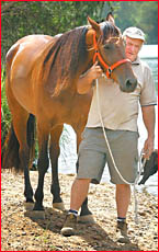 Alan Treadwell with his horse Glenburns Arm. Photo: Mark Straker Alan Treadwell with his horse Glenburns Arm. Photo: Mark Straker