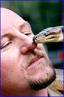Tony Harrison gets close to Kalamata, the olive python. Tony Harrison gets close to Kalamata, the olive python.