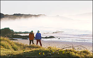 Sunrise stroll at Emerald Beach. Photo: TREVOR VEALE 05062501A Sunrise stroll at Emerald Beach. Photo: TREVOR VEALE 05062501A