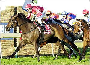 TWOFROMTWO: Brisbane jockey Glen Colless scores his second Balllina Cup from two starts yesterday, this time around aboard Beam TWOFROMTWO: Brisbane jockey Glen Colless scores his second Balllina Cup from two starts yesterday, this time around aboard Beam