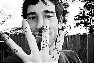 Coffs Harbour?s bee keeper, William Archer, has won $25,000 Coffs Harbour?s bee keeper, William Archer, has won $25,000