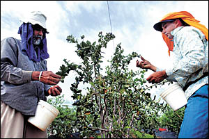 Jaswinder Bajwa (left) and Sukhdeep Nahal Jaswinder Bajwa (left) and Sukhdeep Nahal