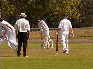 Brothers batsman Trevor White Brothers batsman Trevor White