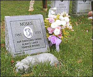 For some a more decent tribute than an informal backyard grave For some a more decent tribute than an informal backyard grave