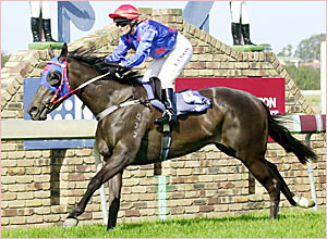 Lorna Cook rides the favourite Mehi Belle Lorna Cook rides the favourite Mehi Belle