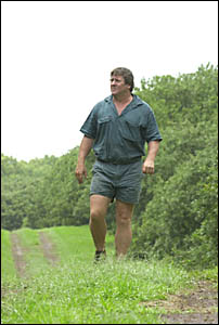 NO OPTION: Knockrow macadamia farmer Greg James walks through the most valuable part of his family-owned property, also the pat NO OPTION: Knockrow macadamia farmer Greg James walks through the most valuable part of his family-owned property, also the pat