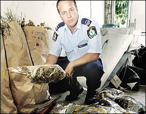 SENIOR Constable David Bell of Tweed police with some of the drugs, money and gun that were seized in the raid. SENIOR Constable David Bell of Tweed police with some of the drugs, money and gun that were seized in the raid.