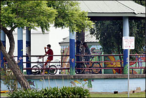 Murwillumbah's Knox Park Murwillumbah's Knox Park