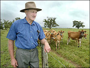 TWEED dairy farmer Pat McDonald with some of his cows which the NSW government says will have to learn to milk themselves. TWEED dairy farmer Pat McDonald with some of his cows which the NSW government says will have to learn to milk themselves.