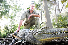 Rockhampton Zoo keeper Wil Kemp with the mate of the stolen freshwater crocodile. Rockhampton Zoo keeper Wil Kemp with the mate of the stolen freshwater crocodile.